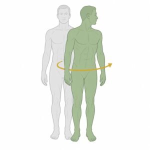 Spine Rotation movement illustration