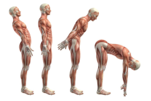 Location & Movement Terminology