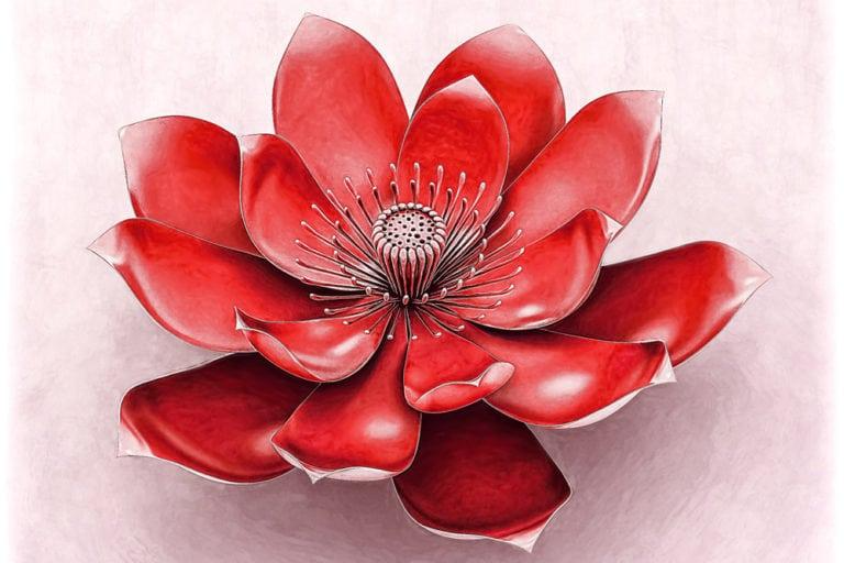 Muladhara / Root Chakra