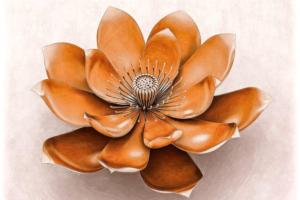 Svadhisthana / Sacral Chakra