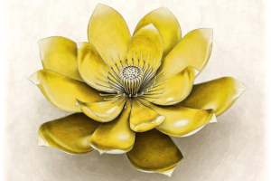 Manipura / Solar Plexus Chakra