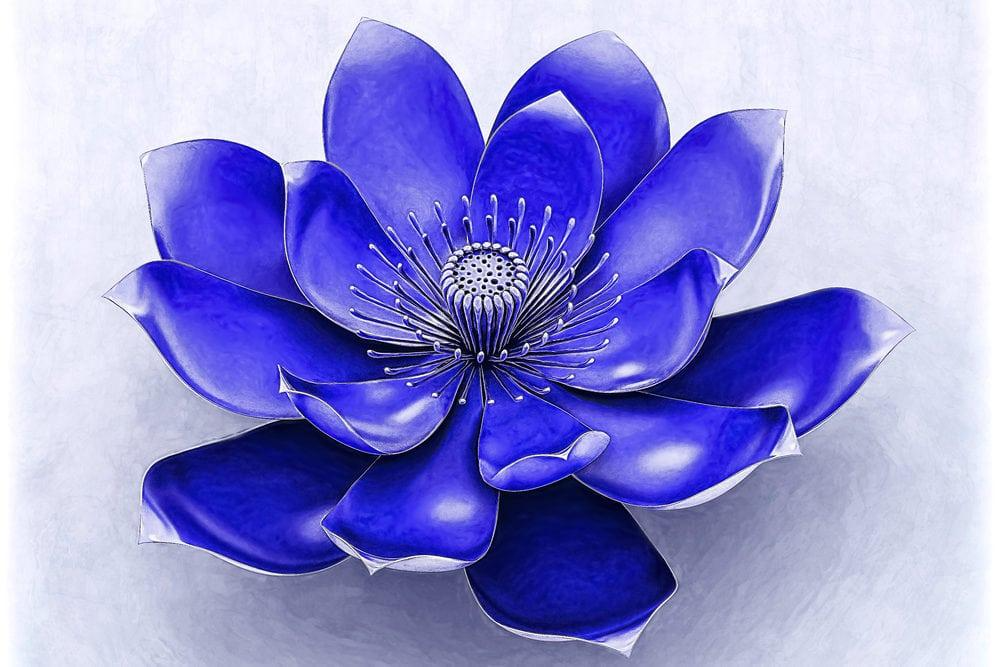 Ajna / Third Eye Chakra