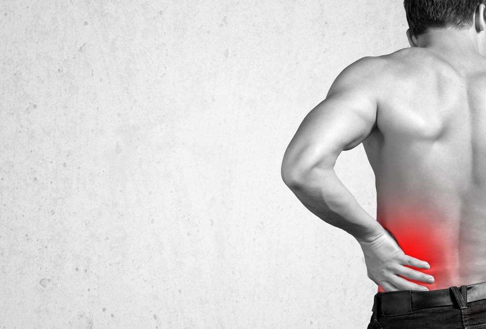 About Low Back Pain