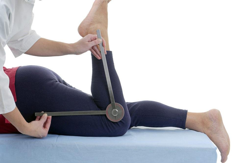 Joint Movements & ROM