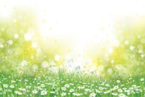 Pitta Balancing Practices