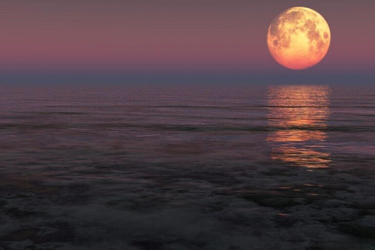 Full Moon