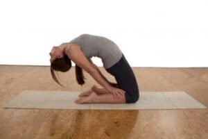 Matsyasana (Fish Pose)