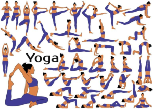 Pose Categories Overview