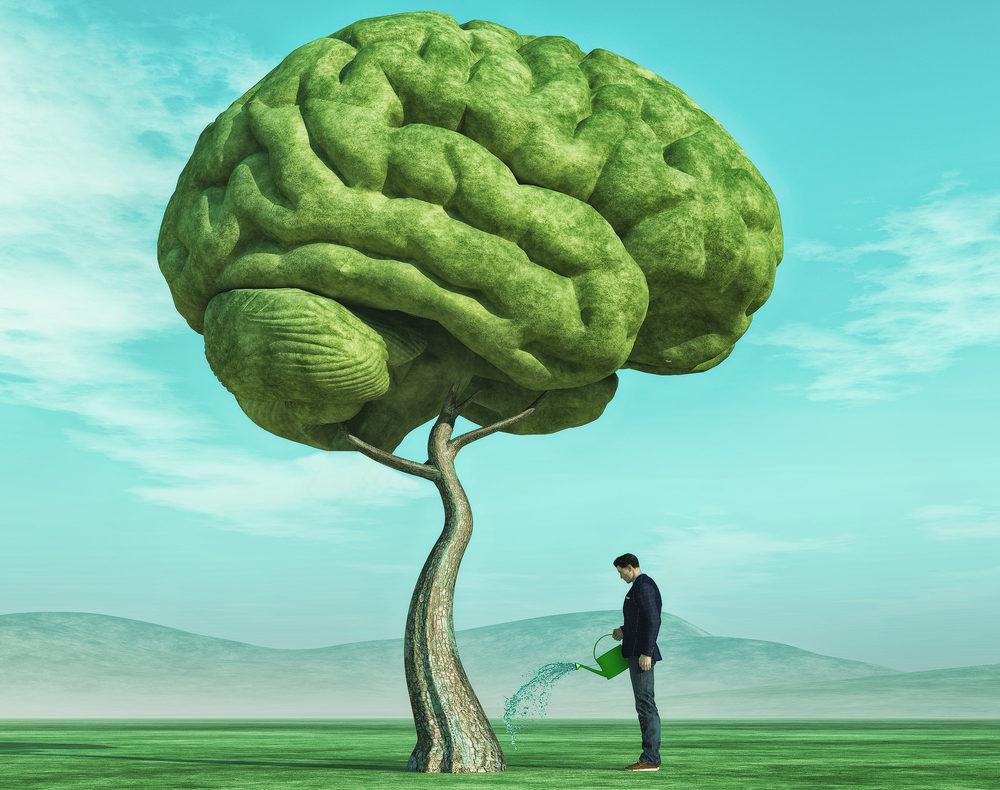 Man watering a brain-shaped tree symbolizing creativity and growth.