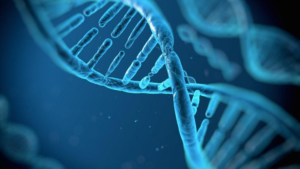 Blue DNA helix on a dark background, symbolizing genetics and biological research.