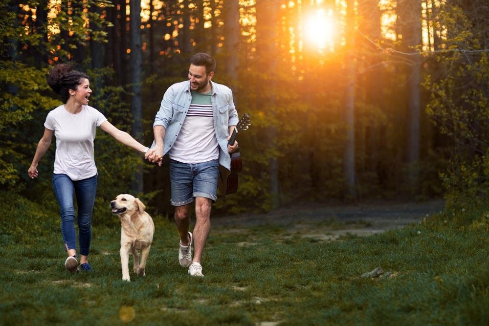Happy couple walking their dog at sunset in a peaceful forest.