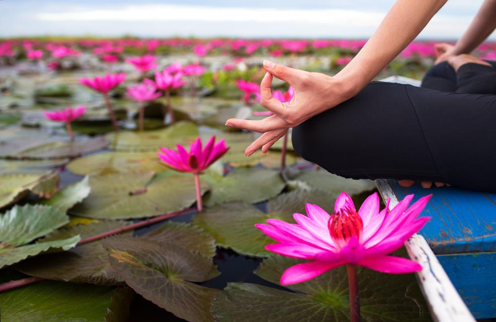 Meditation by tranquil pink lotus flowers for inner peace and serenity.