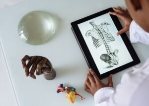 Scientist analyzing anatomy using tablet and anatomical models in a modern lab setting.