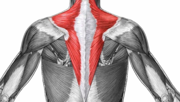 Shoulder Range Conditioning