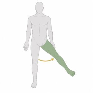 Hip Abduction movement illustration