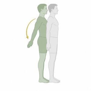 Shoulder Extension movement illustration