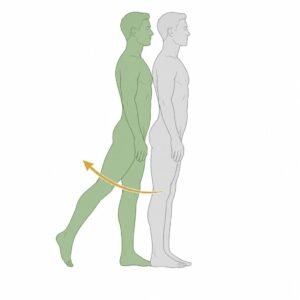 Hip Extension movement illustration