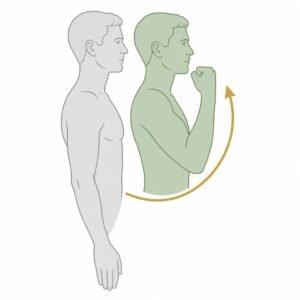 Elbow Flexion movement illustration