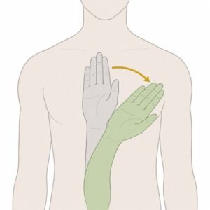 Wrist Joint Ulnar Deviation movement illustration