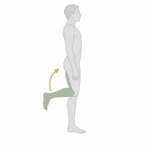 Knee Flexion movement illustration