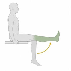 Knee Extension movement illustration