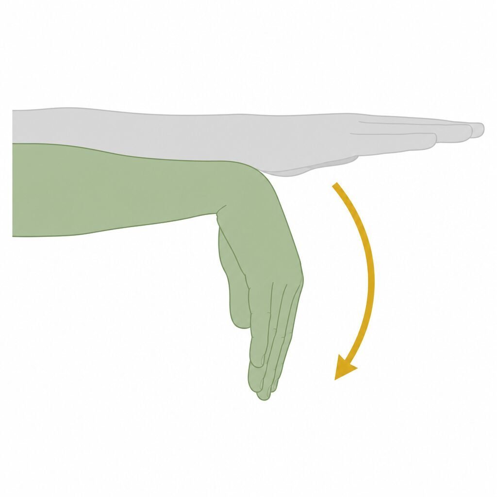 Wrist Flexion movement illustration