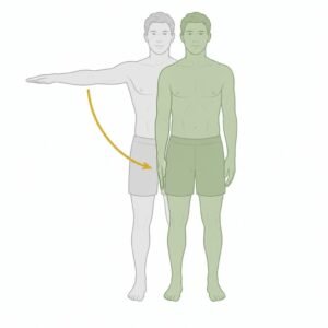 Shoulder Adduction movement illustration