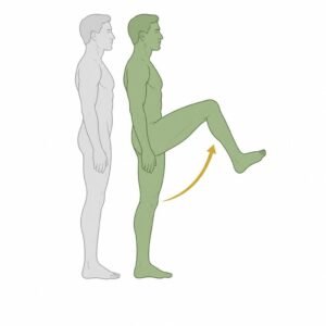 Hip Flexion movement illustration