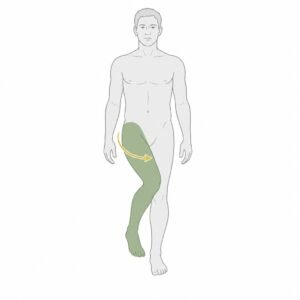 Hip Internal Rotation movement illustration