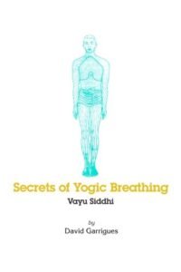 Yogic breathing techniques for enhanced wellness by David Garrigues.